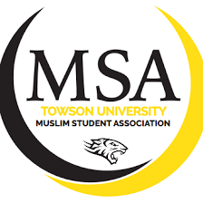 Team Page: Towson MSA